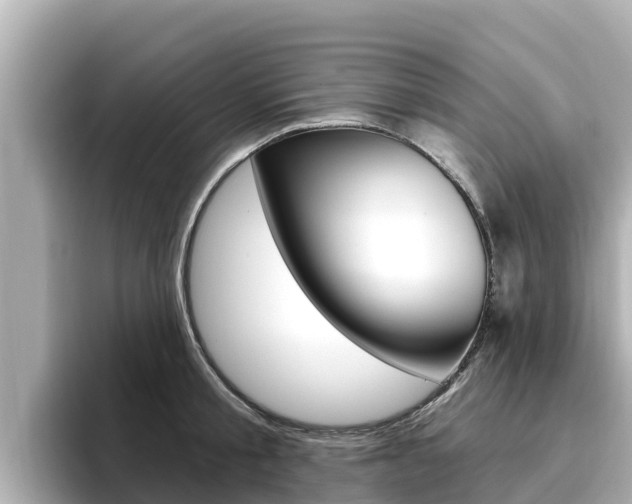 X0000096680805200802051029