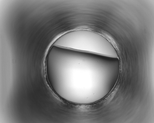 X0000096680808200802051028