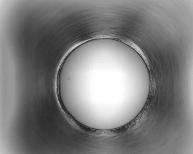 X0000096680811200802051028