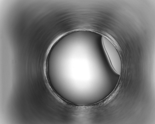 X0000096680812200802051028