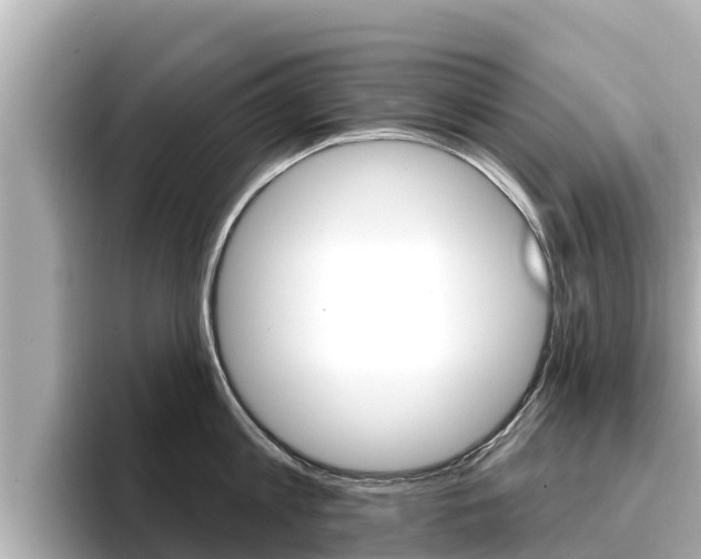 X0000096680813200802051028