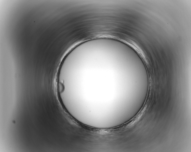 X0000096680814200802051028
