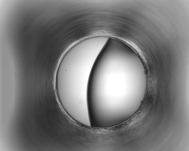 X0000096680815200802051028