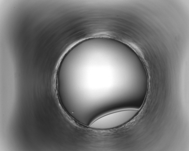 X0000096680816200802051028