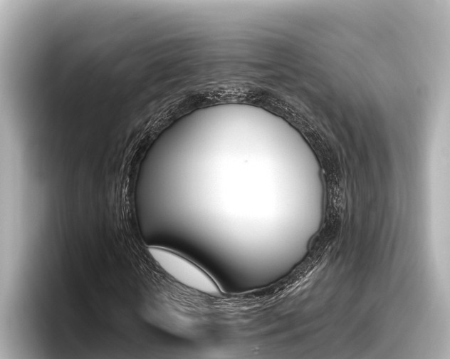 X0000096680818200802051028