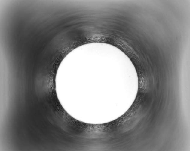 X0000096680820200802051028