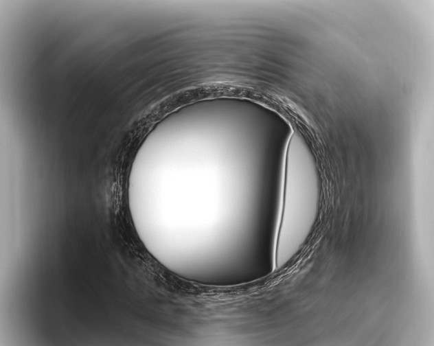 X0000096680821200802051028