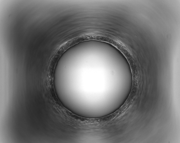 X0000096680822200802051028