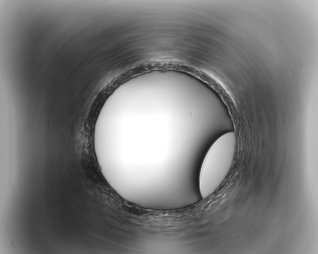 X0000096680823200802051028
