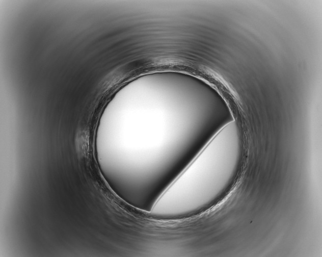 X0000096680825200802051028