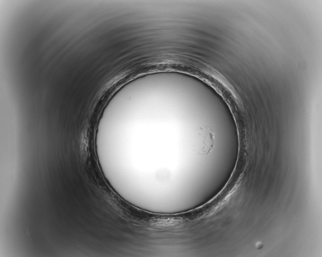 X0000096680826200802051028