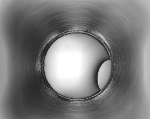 X0000096680827200802051028
