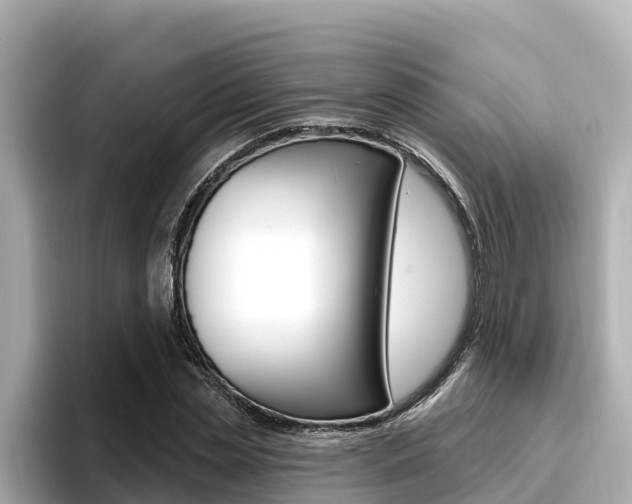 X0000096680829200802051028