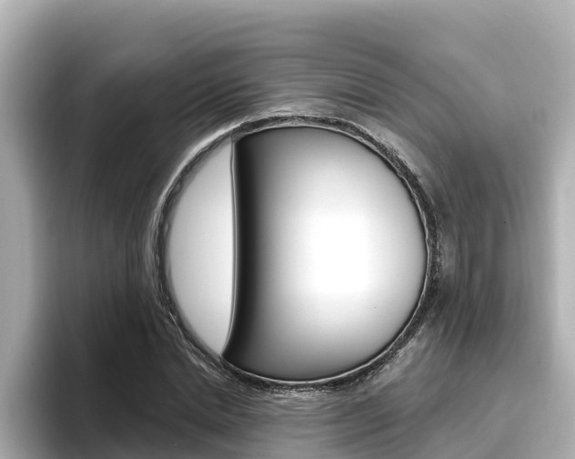 X0000096680830200802051028