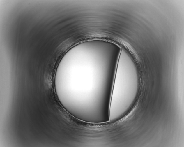 X0000096680833200802051028