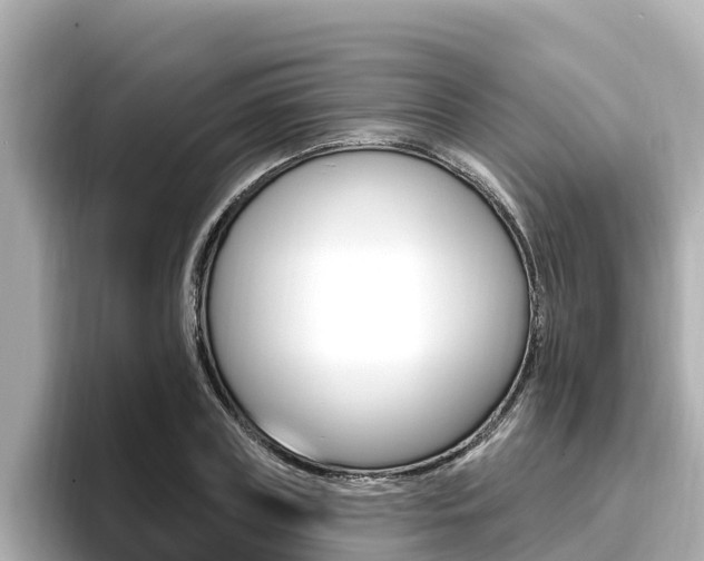 X0000096680835200802051028