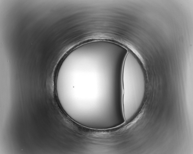 X0000096680837200802051028
