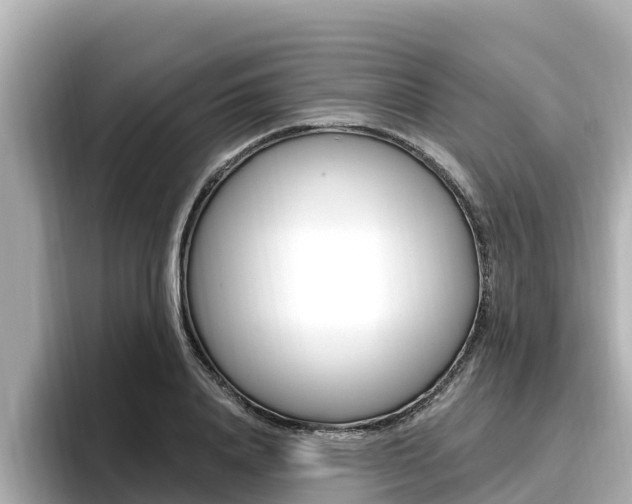 X0000096680840200802051028