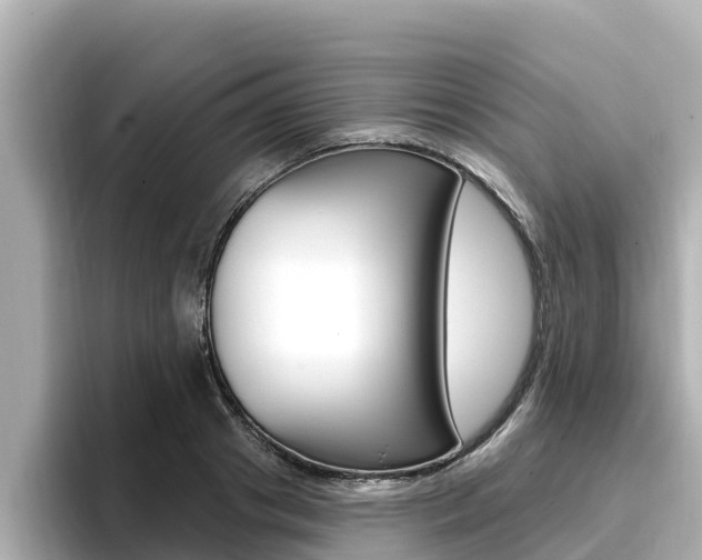 X0000096680841200802051028