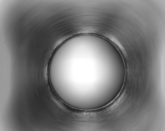 X0000096680842200802051028