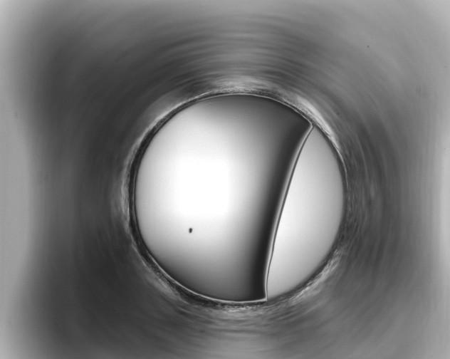 X0000096680843200802051028