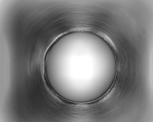 X0000096680844200802051028