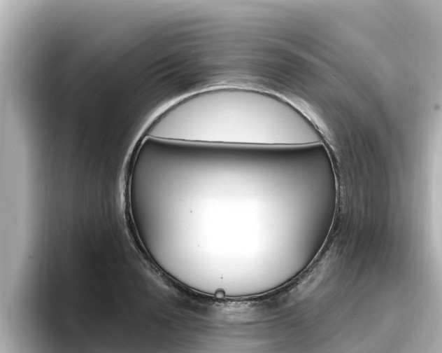 X0000096680846200802051028