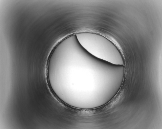 X0000096680847200802051028