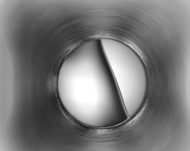 X0000096680849200802051028