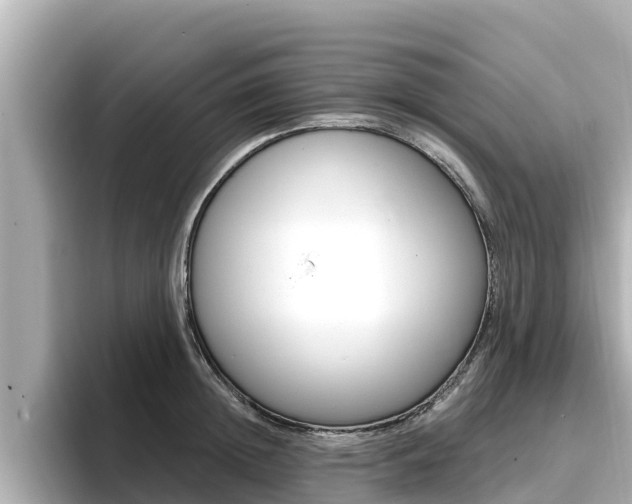 X0000096680852200802051028