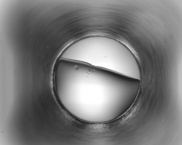 X0000096680853200802051028