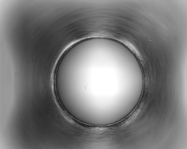 X0000096680854200802051028