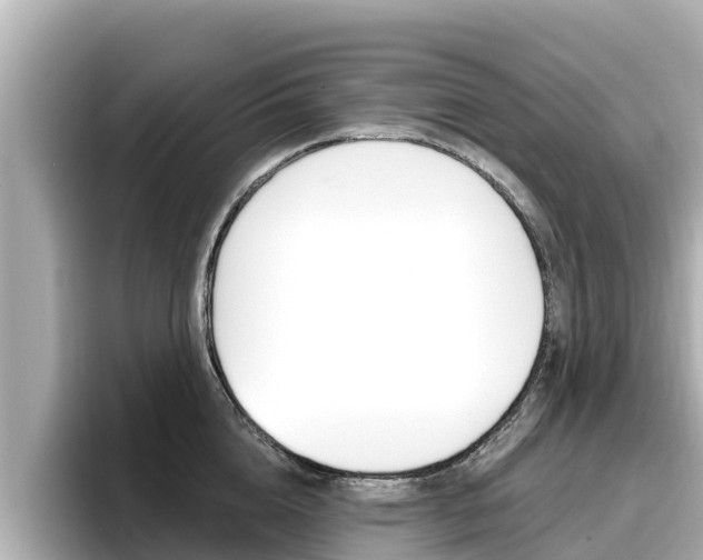 X0000096680856200802051028