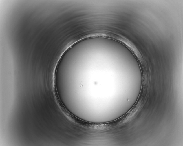 X0000096680858200802051028