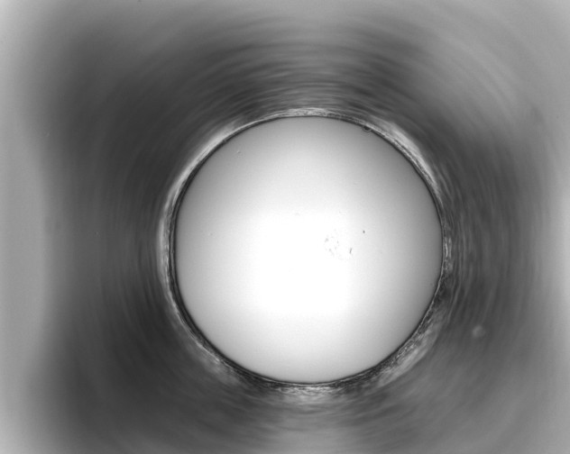 X0000096680859200802051028