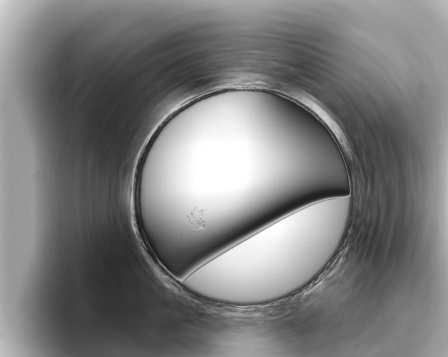 X0000096680861200802051028