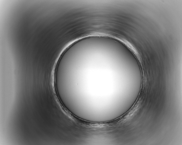 X0000096680862200802051028