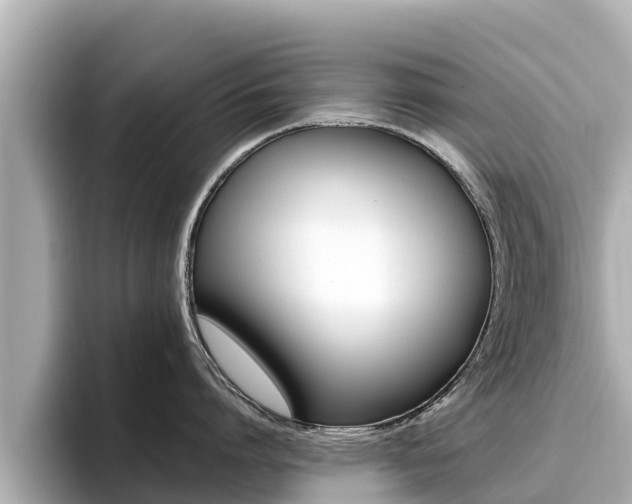 X0000096680864200802051028