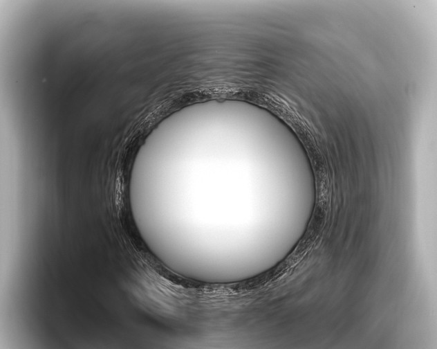 X0000096680866200802051028
