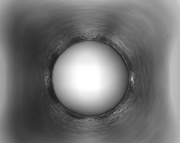 X0000096680867200802051028