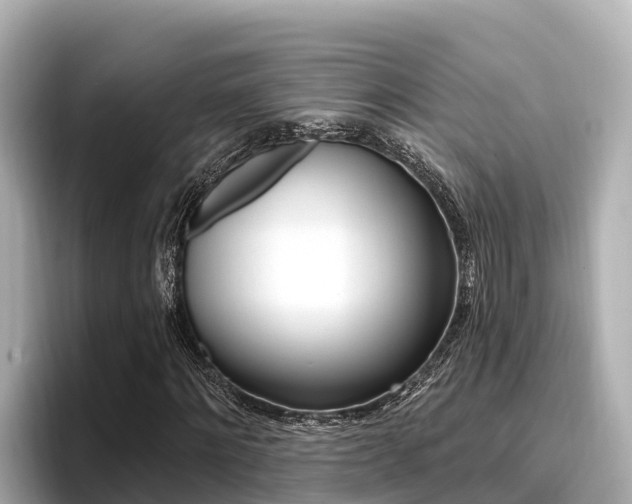 X0000096680868200802051028