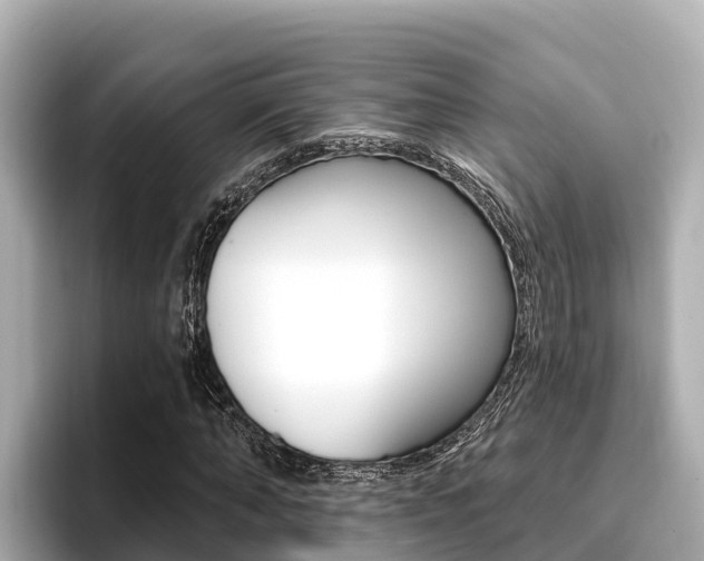 X0000096680870200802051028
