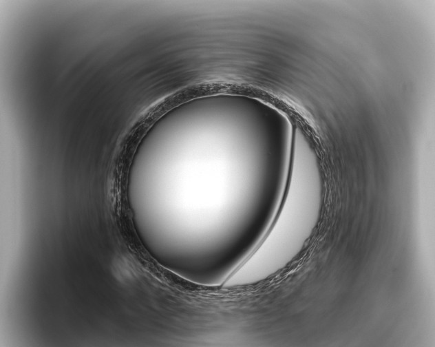 X0000096680872200802051028