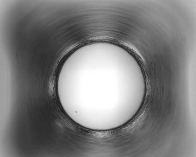 X0000096680874200802051028