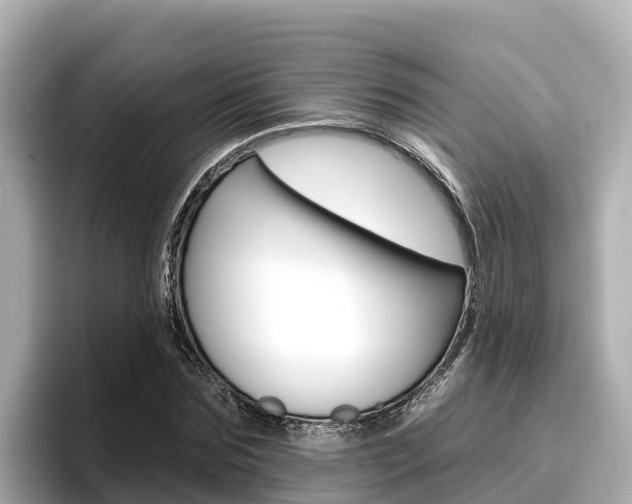 X0000096680875200802051028