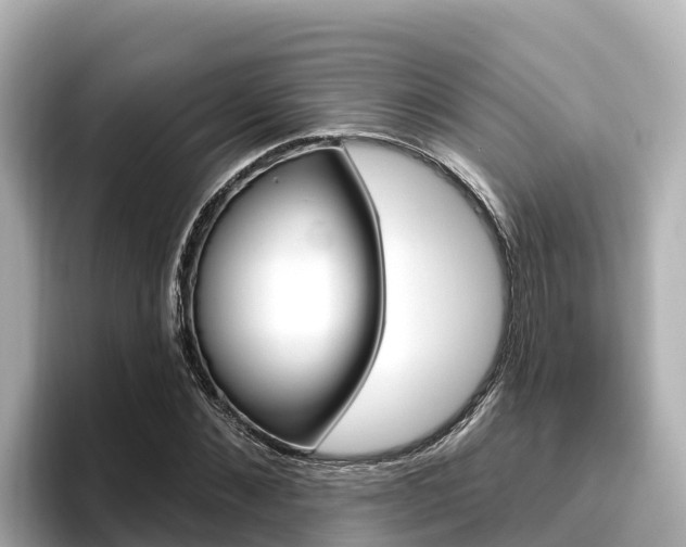 X0000096680876200802051028