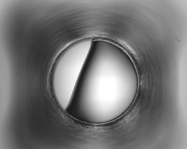 X0000096680877200802051028