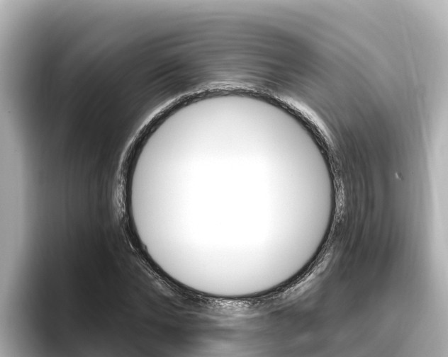 X0000096680878200802051028