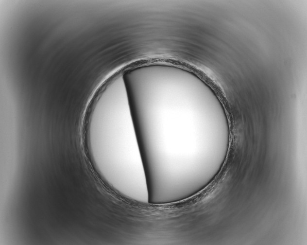 X0000096680879200802051028