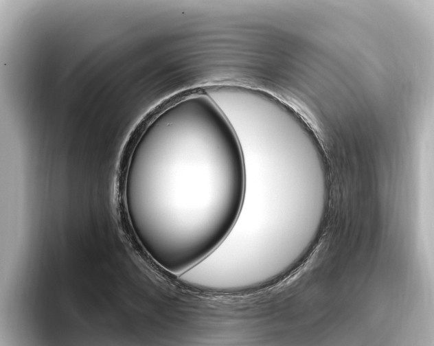 X0000096680880200802051028
